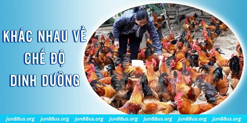 ga 67 xổ số miền nam thứ năm hàng tuần