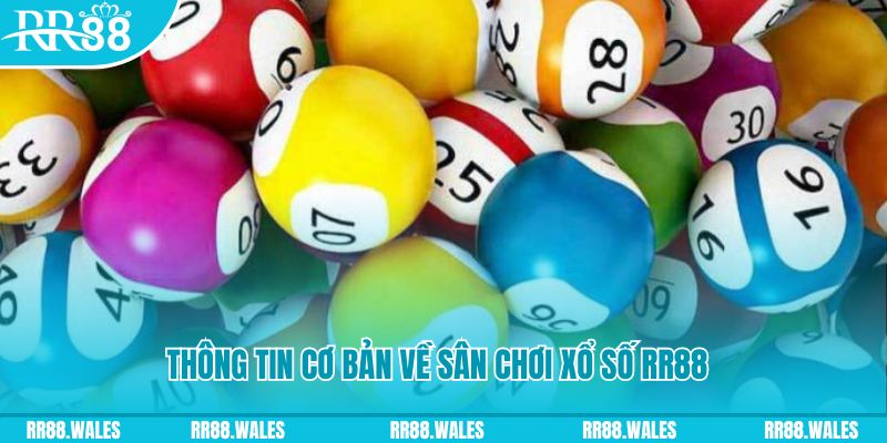 ga 67 đá gà hôm nay