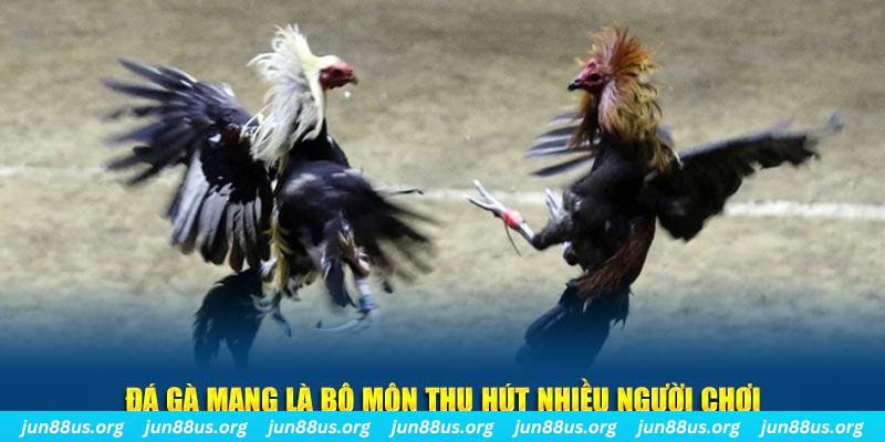 ga 67 đăng nhập lô đề hàng đầu