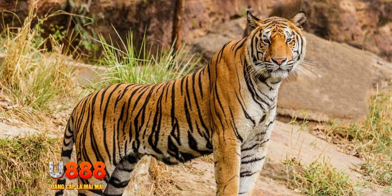 ga 67 xổ số bình thuận