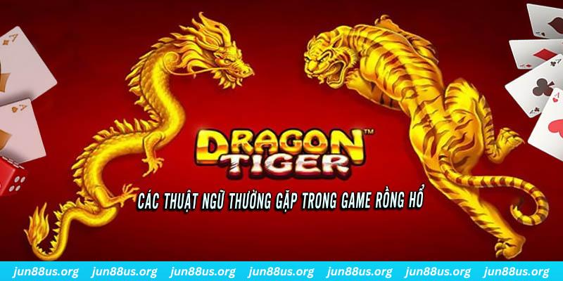 ga 67 ÁT CHỦ BÀI ĐẤU ĐỊA CHỦ