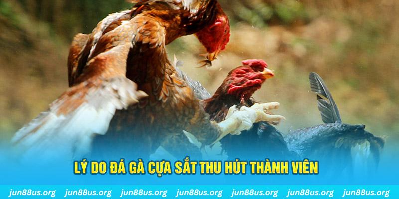 ga 67 chiếm slot là gì