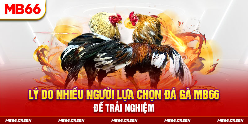 ga 67 KA Điện Tử