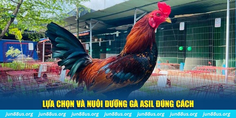 ga 67 xổ số đài bắc