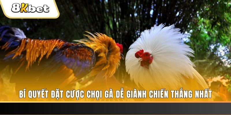 ga 67 xổ số thứ hai hàng tuần