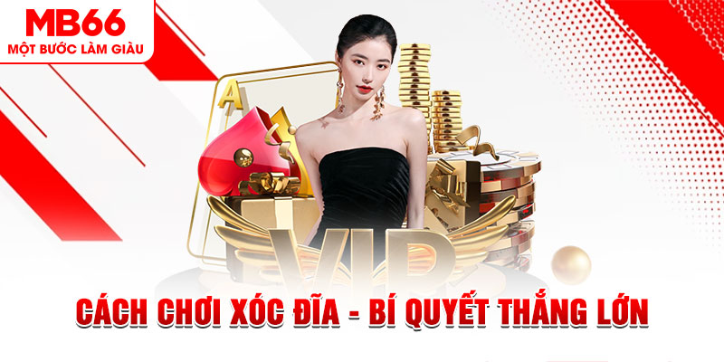 ga 67 trực tiếp đá gà c1 hôm nay