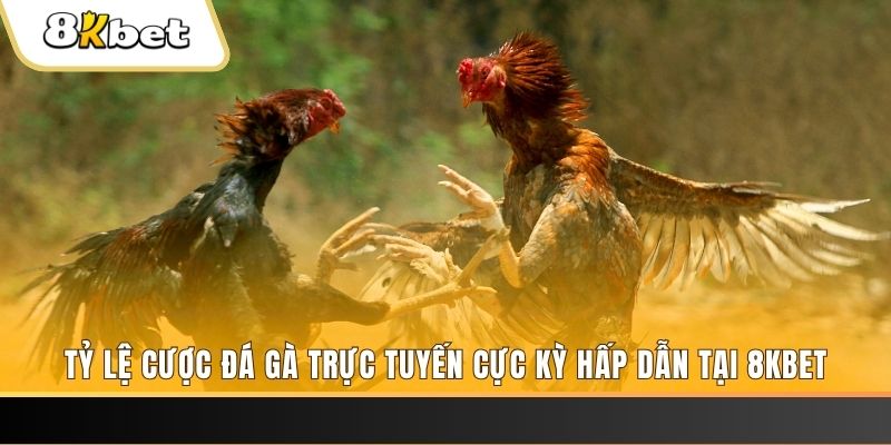 ga 67 baccarat online bịp như thế nào