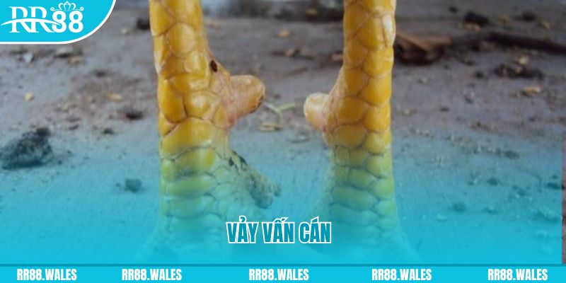 ga 67 đăng nhập nổ hũ hôm nay