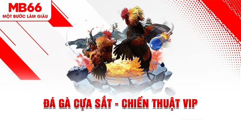 ga 67 xổ số trực tiếp hôm nay