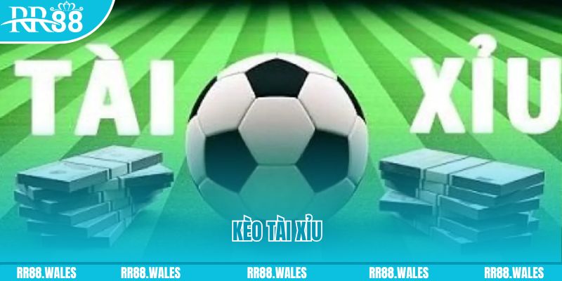 ga 67 gà chọi hoà phong